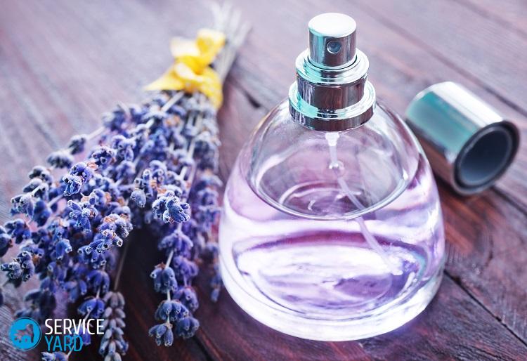lavender perfume in bottle and on a table
